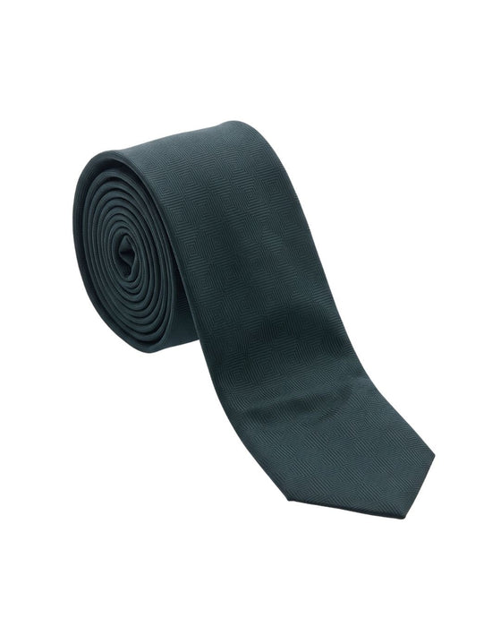 Armani Collezione Mens Dark Green Tonal Textured Neck Tie