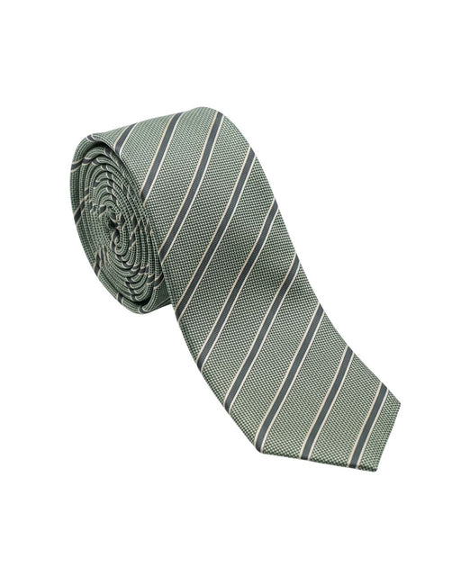 Armani Collezioni Mens Sage Green / Navy Diagonal Stripe Neck Tie