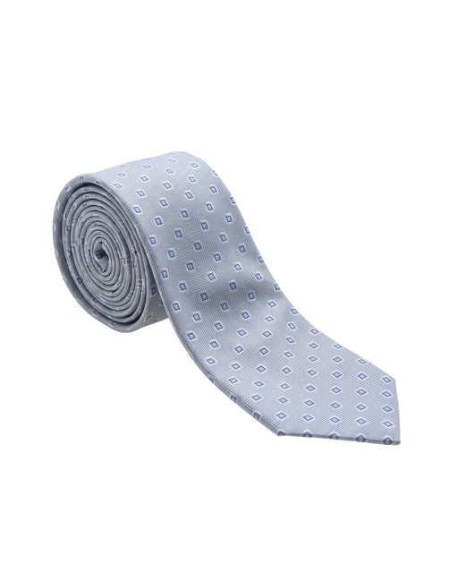 Armani Collezioni Mens Light Blue / Gray Micro Square Neck Tie