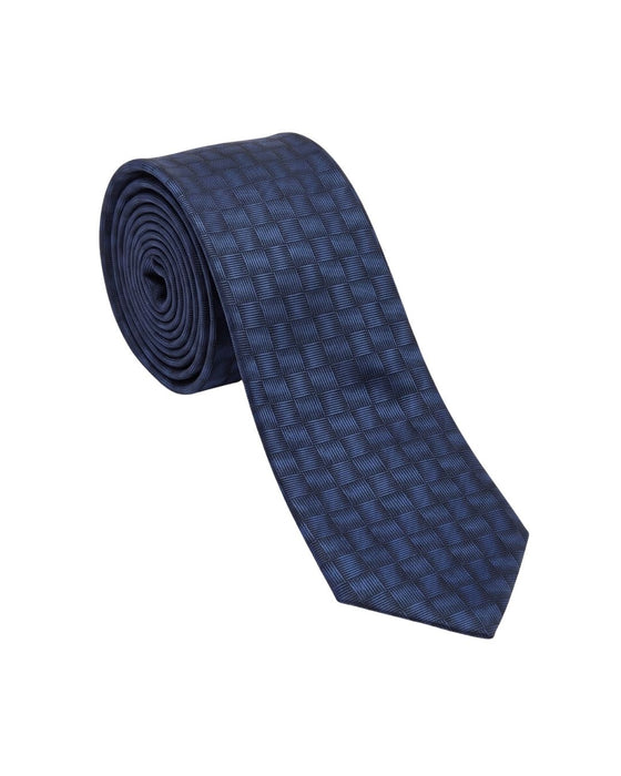 Armani Collezione Mens Navy Blue / Blue Tonal Grid Neck Tie