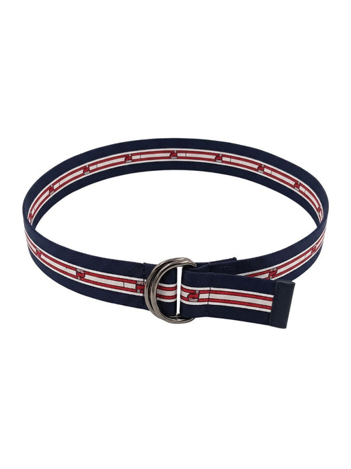 Pinko Women's Blue Striped Webbing Polyester Belt-Medium