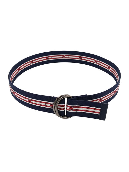 Pinko Women's Blue Striped Webbing Polyester Belt-Medium