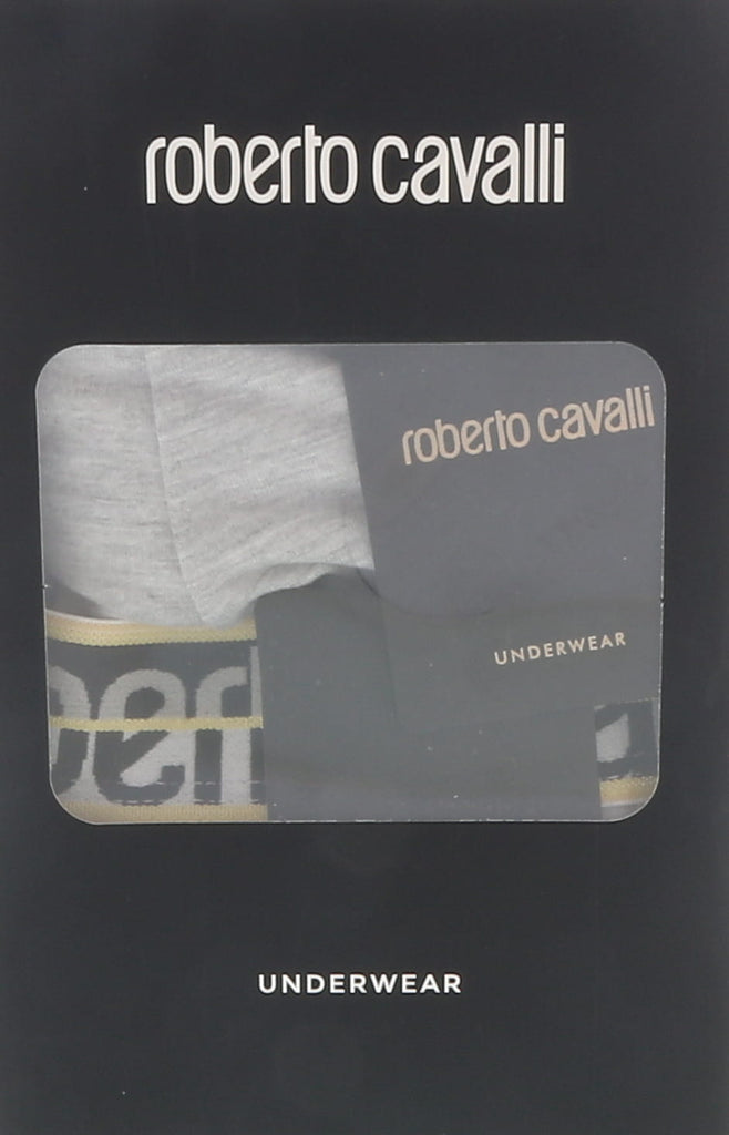Roberto Cavalli Grey Melange Cotton Jersey Stretch Brief Slip-2-Pack-