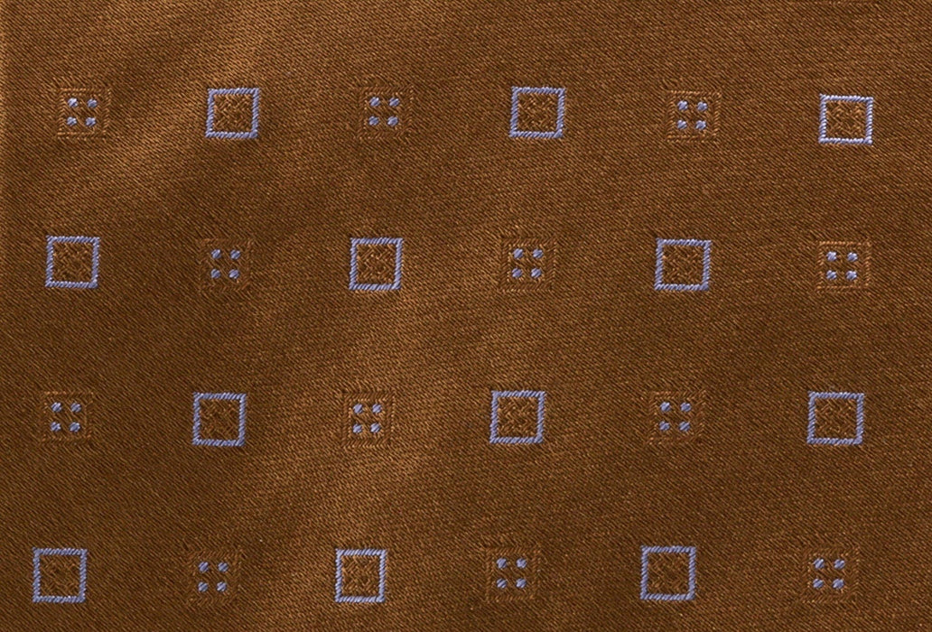 Gianfranco Ferre J037 U2F Brown Silk Mens Tie