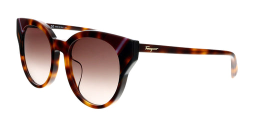 Salvatore Ferragamo SF883SA 238 Tortoise Round Sunglasses