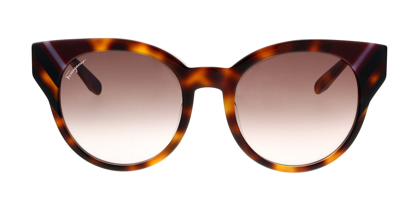 Salvatore Ferragamo SF883SA 238 Tortoise Round Sunglasses