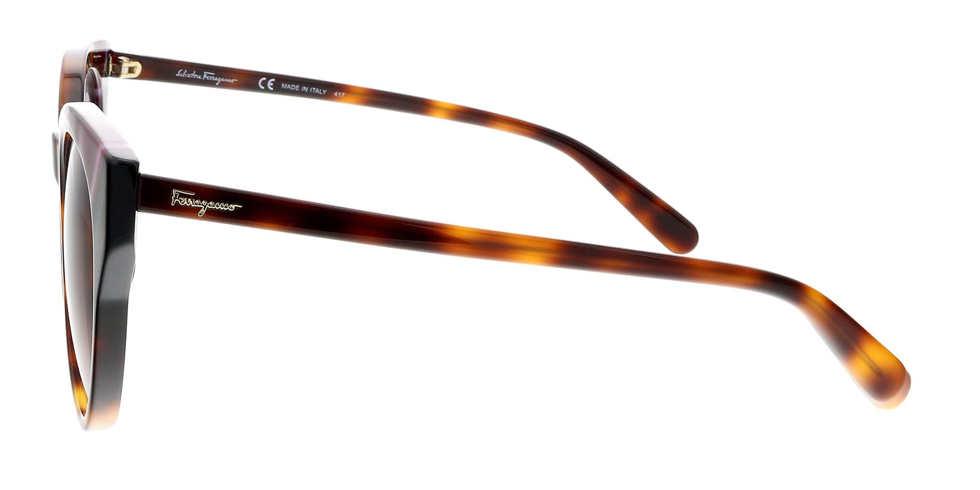 Salvatore Ferragamo SF883SA 238 Tortoise Round Sunglasses