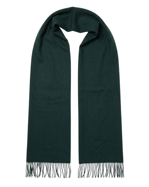 Lanvin Soft Luxurious Cashmere and Wool Green Fringe Scarf