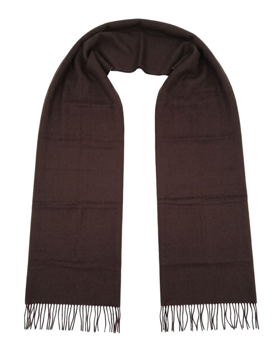 Lanvin Soft Luxurious Cashmere and Wool brown Fringe Scarf