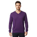 Maglierie di Perugia Cashmere Silk Blend Mens Purple V-Neck Sweater-S