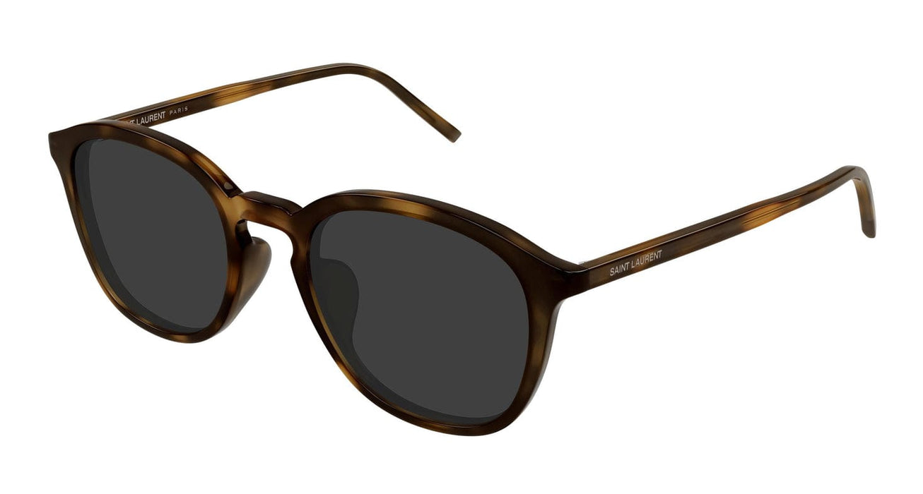 Saint Laurent SL 782/K-003 Understated Glow: Havana Tortoiseshell Round