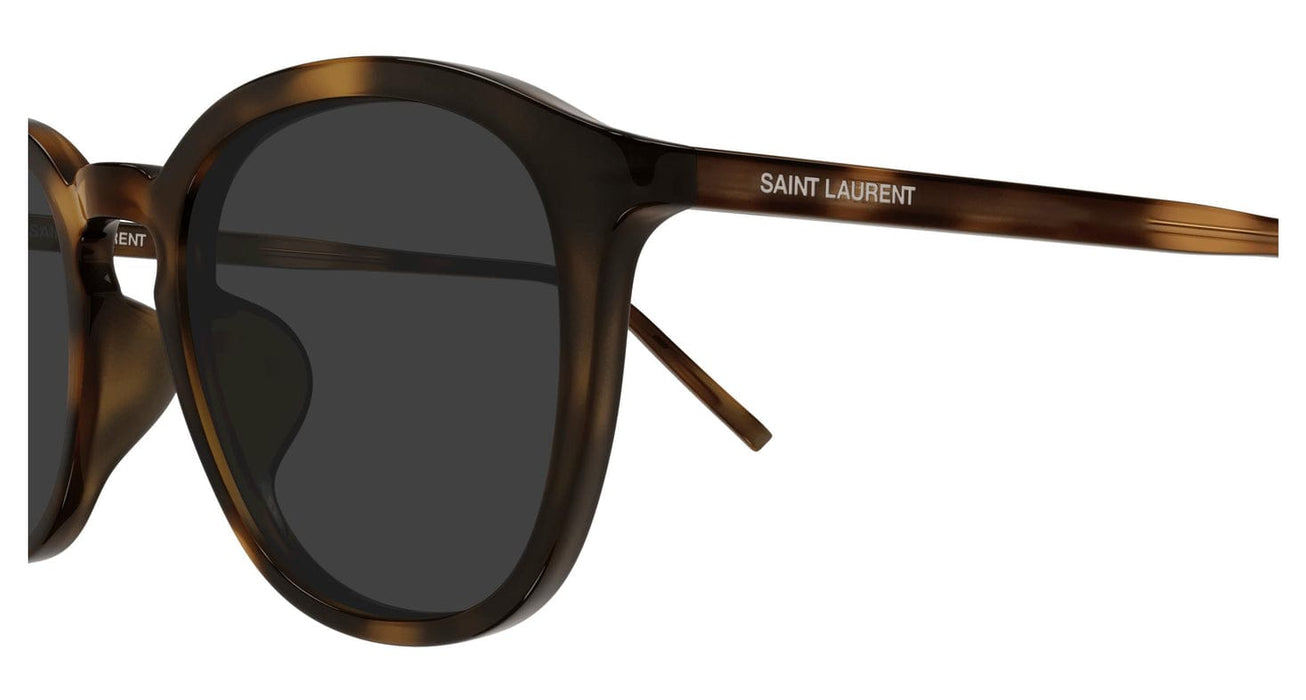 Saint Laurent SL 782/K-003 Understated Glow: Havana Tortoiseshell Round