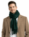 Lanvin Soft Luxurious Cashmere and Wool Green Fringe Scarf