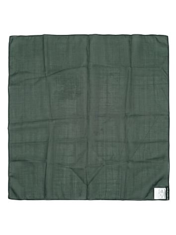 Dolce & Gabbana Forrest Green Solid Womens Silk  Scarf