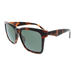 Saint Laurent SL M170-003 Havana Square Womens Sunglasses