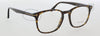 Tom Ford TF 5505 Black Havana Rectangle Sunglasses