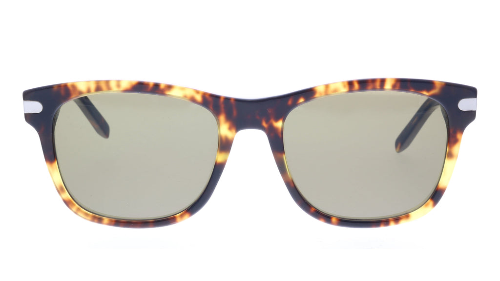 Salvatore Ferragamo SF936S 219 Dark Tortoise Modified Rectangle Sunglasses