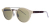 Bottega Veneta   Havana  Round Sunglasses