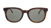 Saint Laurent SL 405-002 Havana Square Sunglasses
