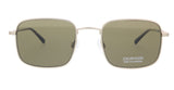 Calvin Klein CK20318S 45052 Satin Gold Square Sunglasses