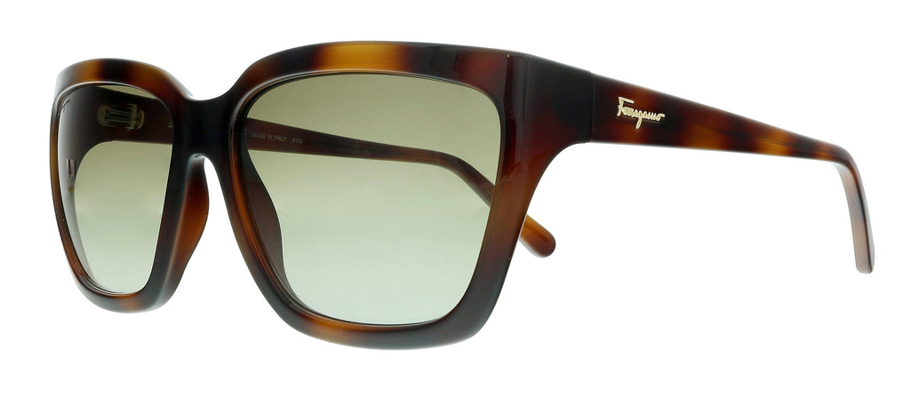 Salvatore Ferragamo  Tortoise Modified Rectangle Sunglasses