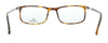 Lacoste L2808 214 Havana Modified Rectangle Eyeglasses