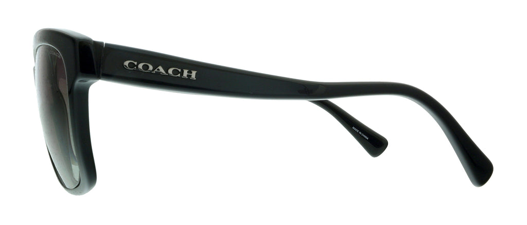 Coach 0HC8219 500211 Black Square Sunglasses