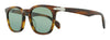 Rag And Bone  Havana  Sunglasses