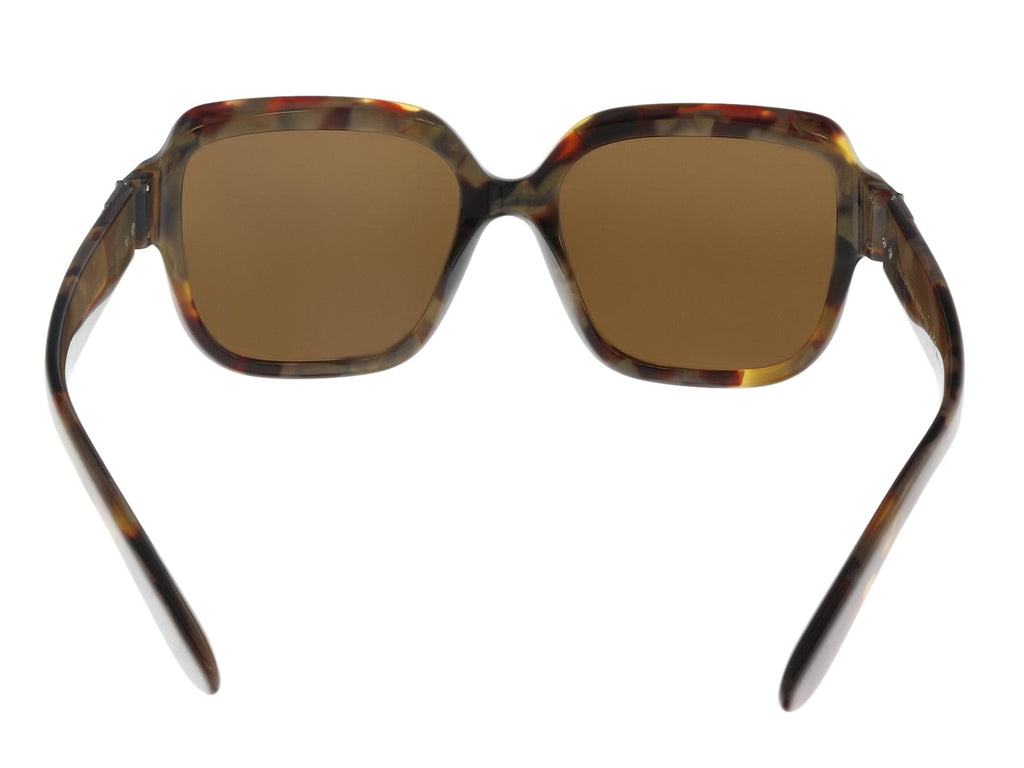 Dolce & Gabbana DG4336 31706H Havana Pear Square Sunglasses
