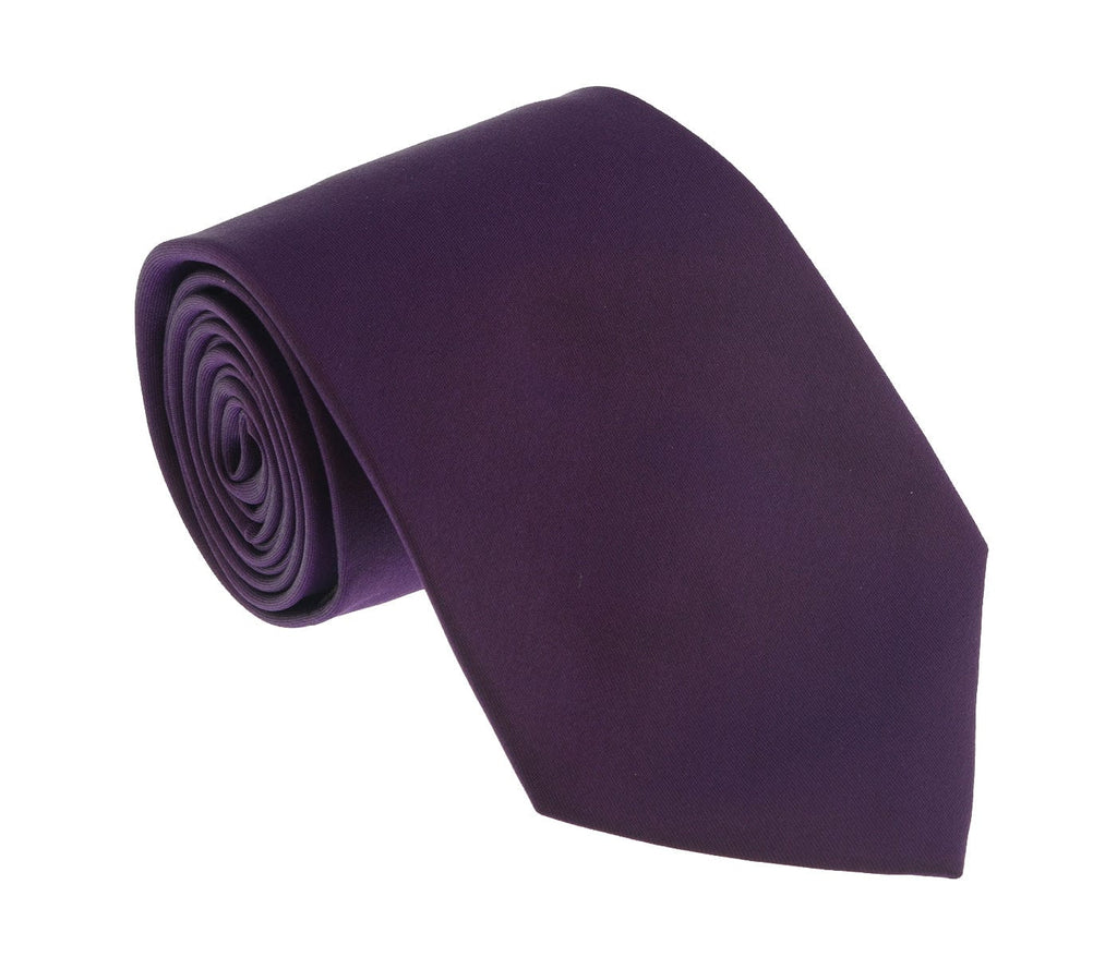 Roberto Cavalli  Purple Solid Tie
