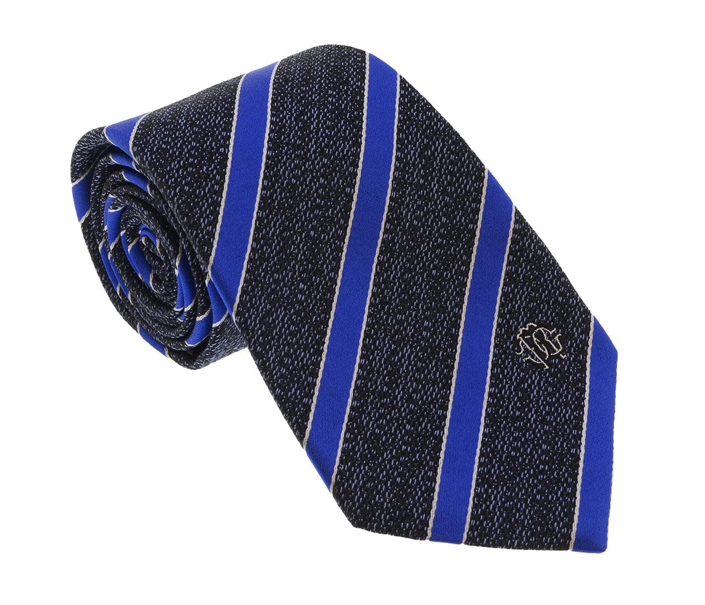 Roberto Cavalli  Blue Repp Tie